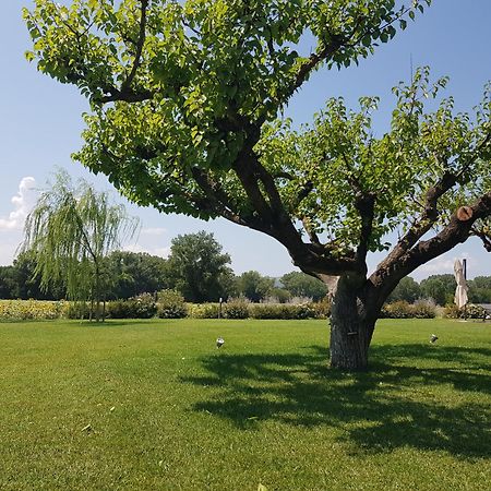 Agriturismo Villa Al Piano Todi Exteriör bild