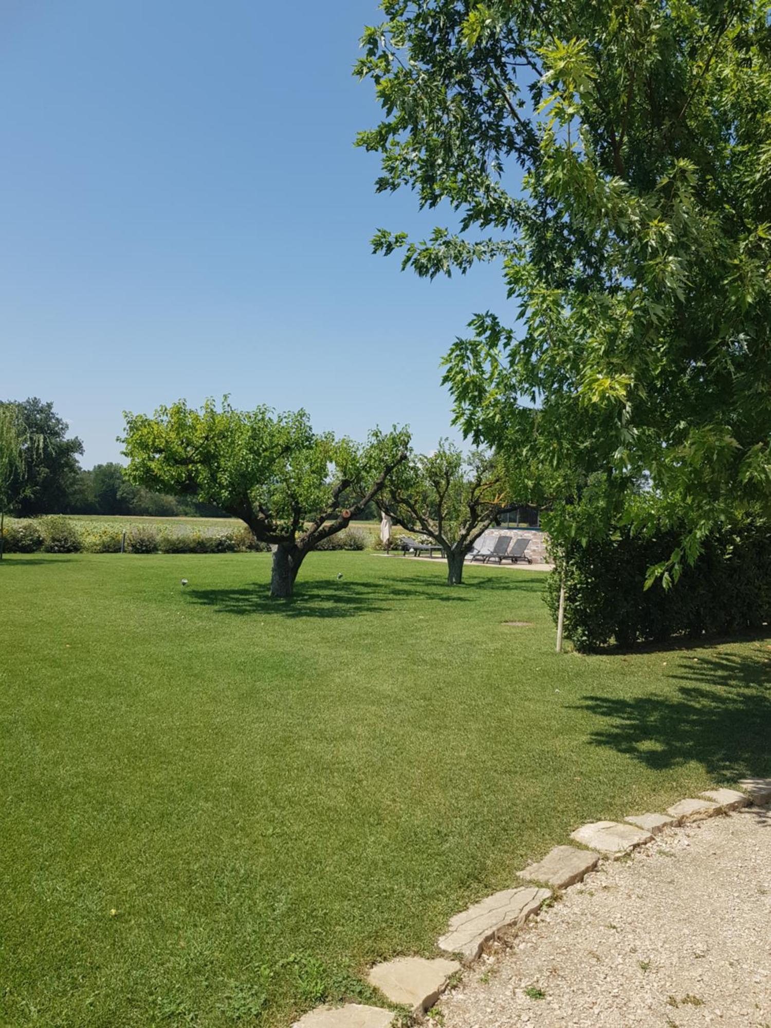 Agriturismo Villa Al Piano Todi Exteriör bild