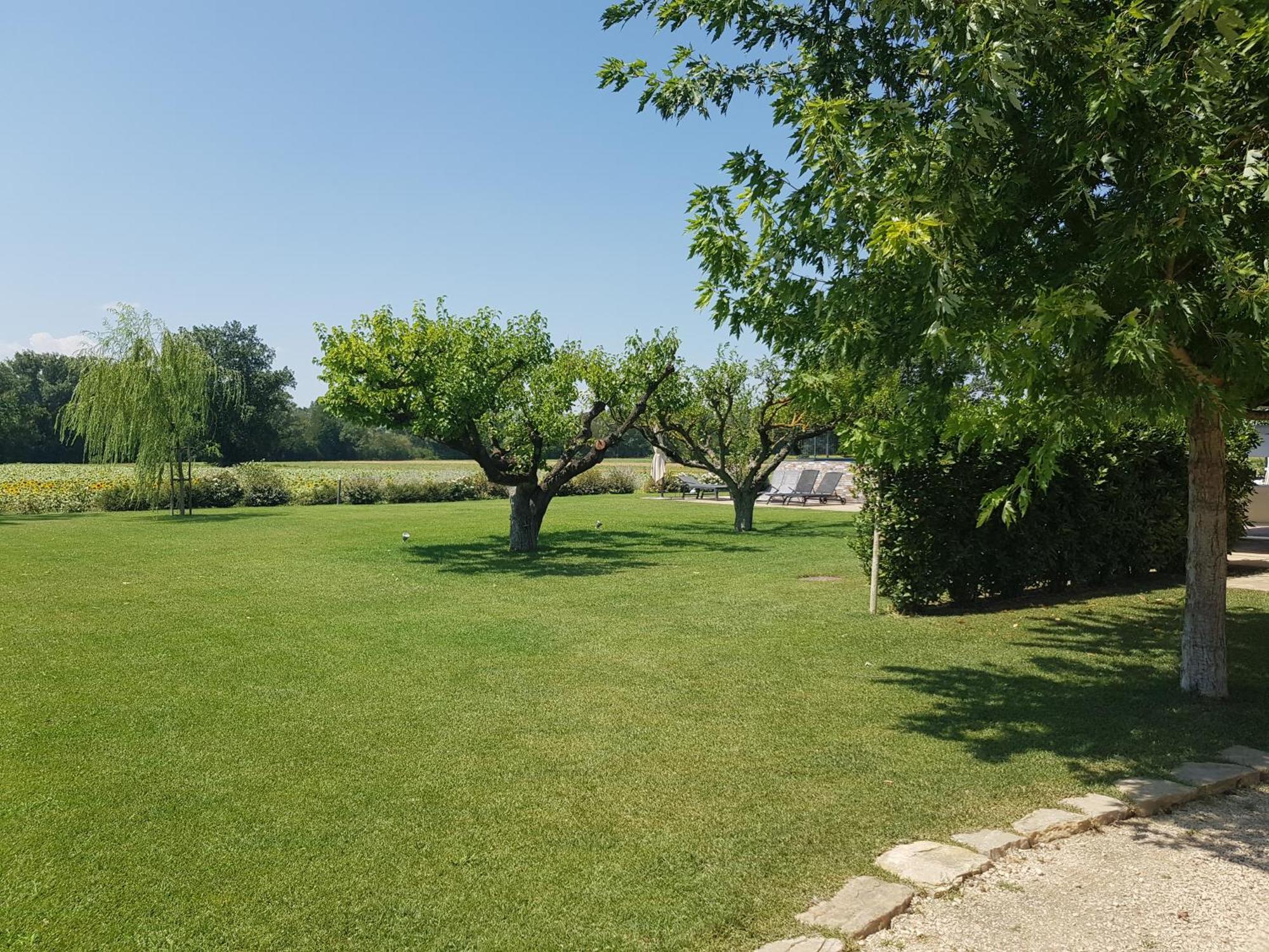 Agriturismo Villa Al Piano Todi Exteriör bild