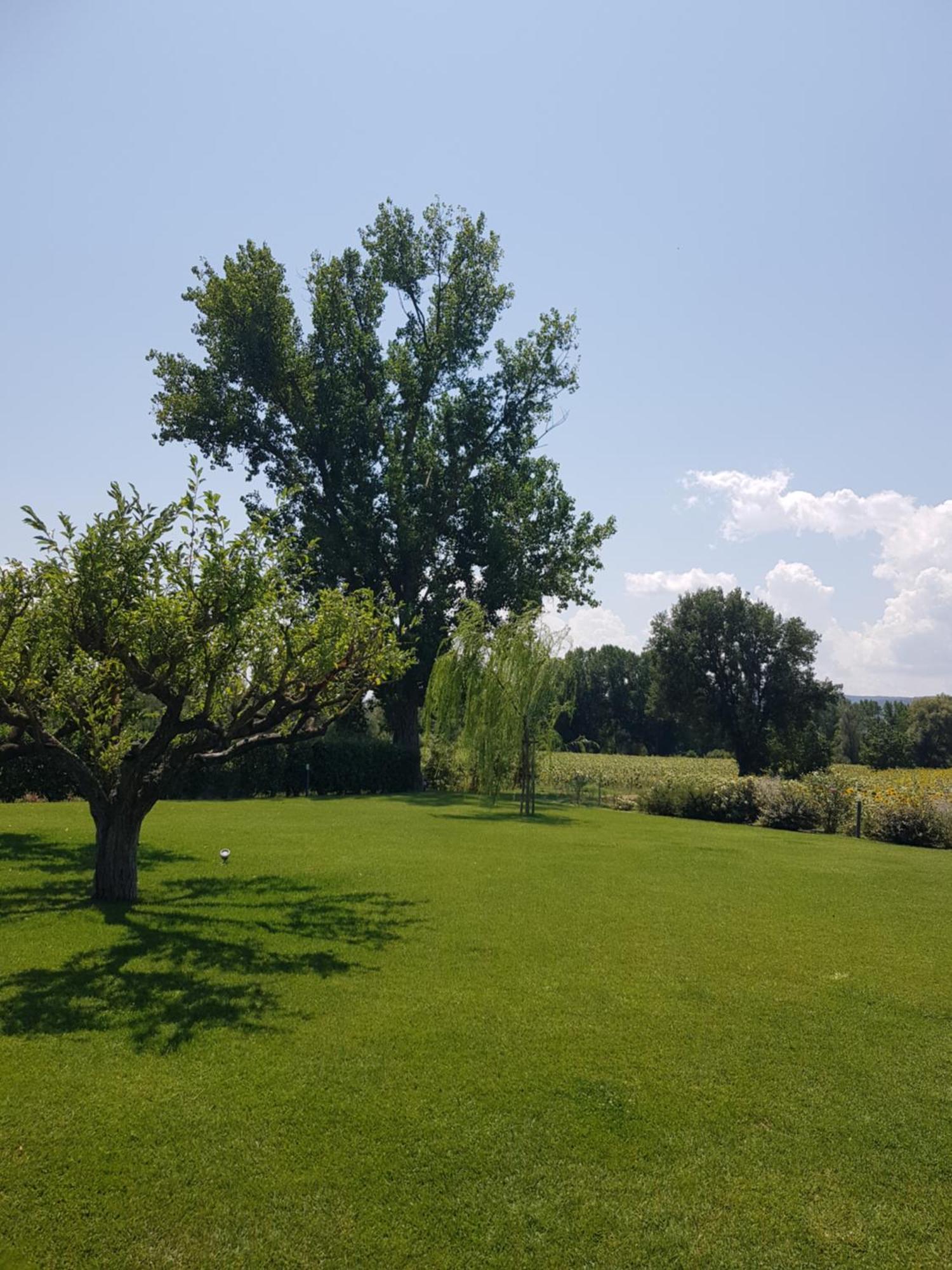 Agriturismo Villa Al Piano Todi Exteriör bild